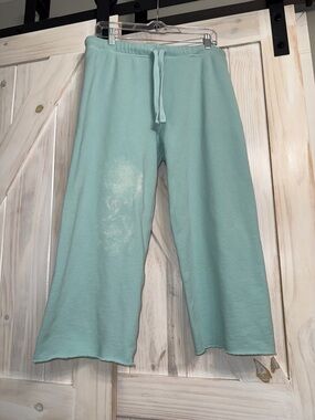 Frank and Eileen M Mint green Catherine triple fleece sweatpants never worn